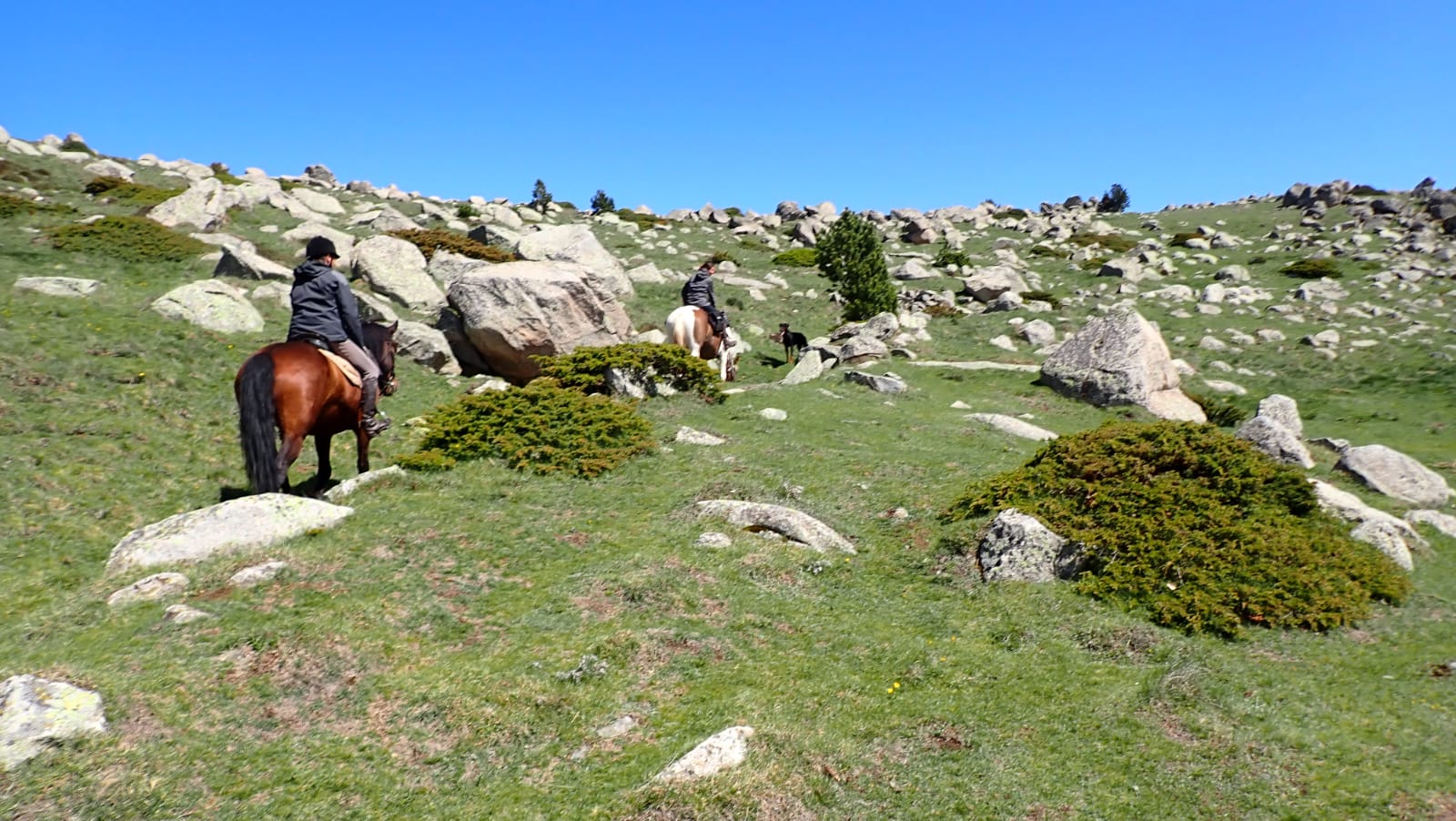 Junts - randonnée équestre - randonnée à cheval arles-sur-tech